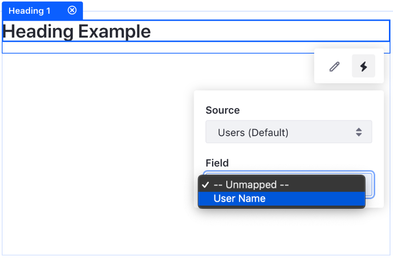 Figure 1: After creating the *InfoDisplayContributorField class, your custom content type has a new field to map.