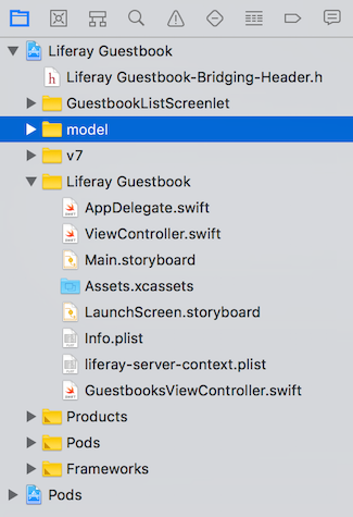 Figure 4: After adding the model folder, your project should look something like this.