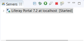 Figure 3: Your new server appears under the Servers view.