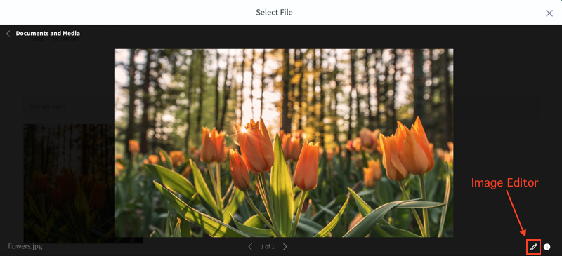 Figure 3: You can access the image editor through the item selector window.
