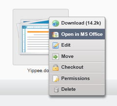 Figure 4.10: Open Microsoft Office files from within your Internet Explorer browser by clicking the Open in MS Office link.