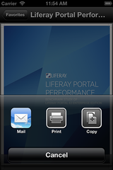 Figure 4.47: Share options
