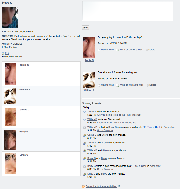 Figure 8.6: Social Networking Portlets in a Facebook-like
Layout