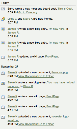 Figure 8.4: The Activities
Portlet