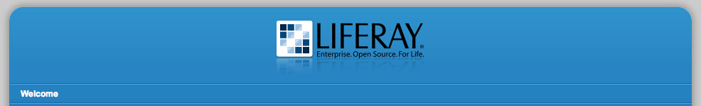 Figure 13.15: Envision Theme from Liferays Theme
Repository