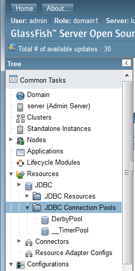 Figure 14.37: Navigate to JDBC Connection Pools