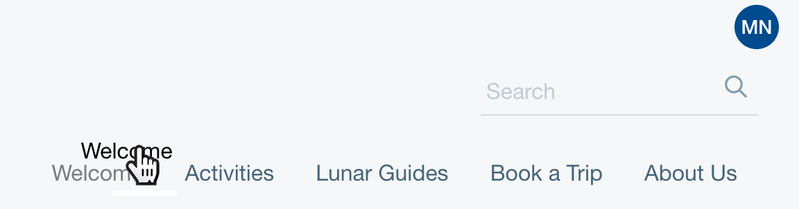 Figure 1: Reorder the pages in the navigation bar.