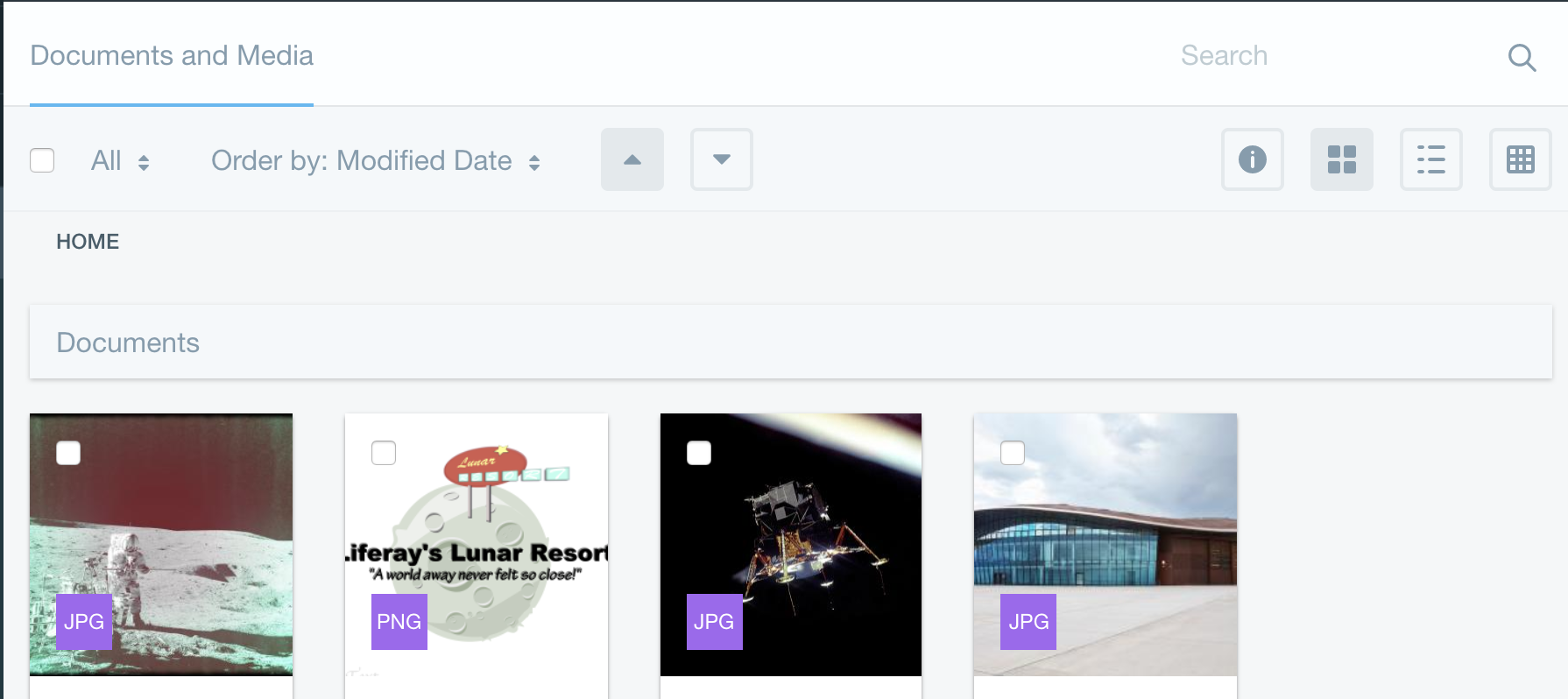 Figure 1: The Documents and Media librarys Home folder contains the Lunar Resorts existing images.