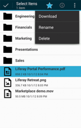Figure 4.34: ICS menu