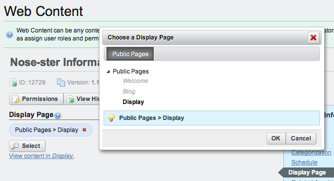 Figure 5.15: Selecting a Display
Page