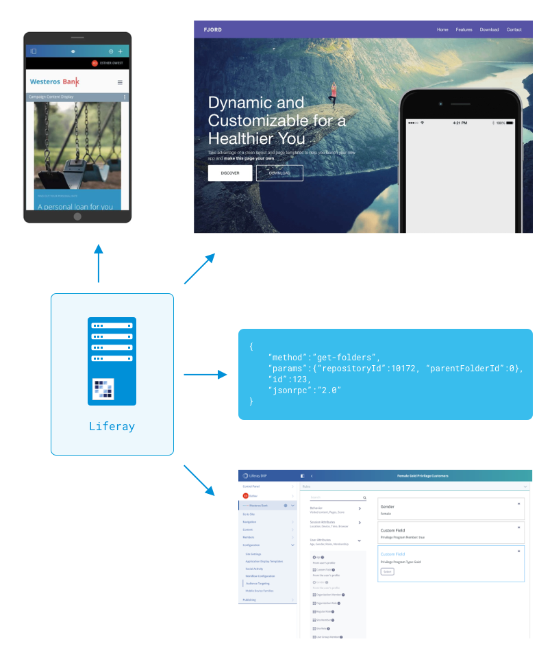 Developers use Liferay DXP in many ways.