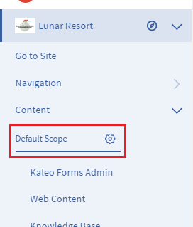 Figure 1: When defining a page scope for an app, the Menu provides a Default Scope dropdown.