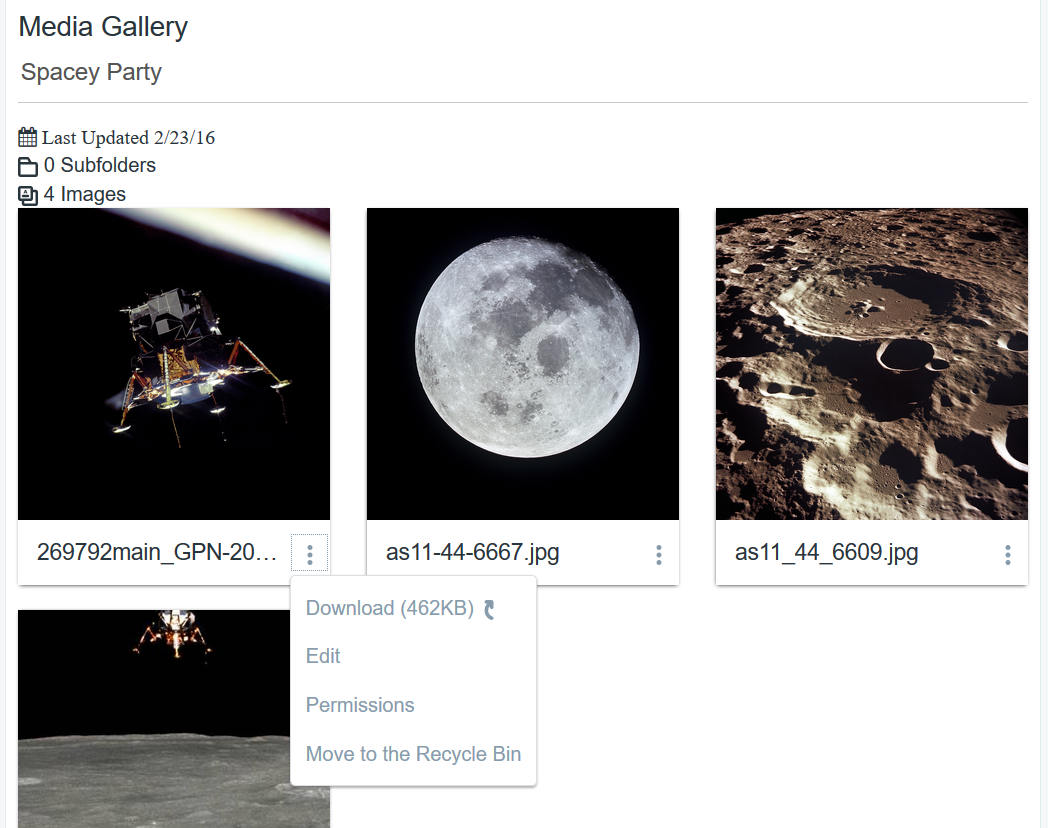 Figure 2: The Media Gallery renders large thumbnail images of media files. It gives users quick access to download files that interest them.