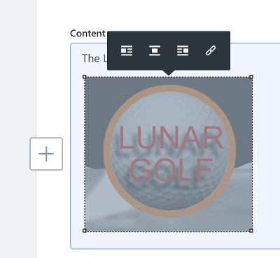 Figure 2: The image Styles toolbar lets you format images in the editor.