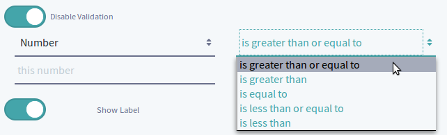 Figure 6: You can validate number submissions for text fields.