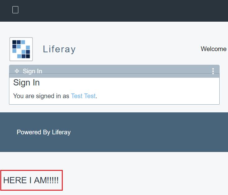 Figure 1: Deploying a core JSP override overrides core functionality, like Liferay DXPs default theme.