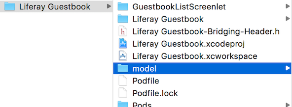 Figure 3: The new model folder should be inside your root project folder.