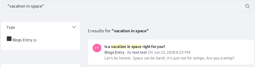 図3：検索語句を引用符で囲んで、完全に一致するフレーズを検索します。 ユーザーが*space Vacation*を検索した場合、この結果は返されません。