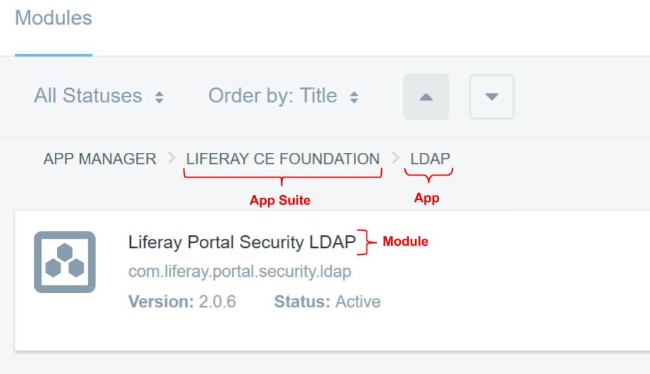 Figure 2: The App Manager lists the module, package name, version, and status.