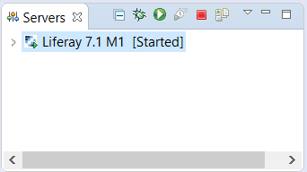 Figure 3: Your new server appears under the Servers view.
