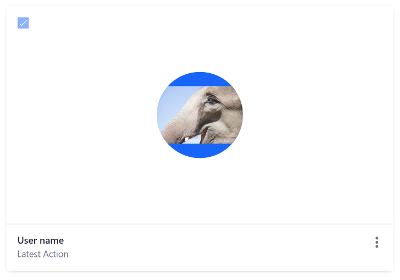 Figure 9: A User Card can also display a profile image.