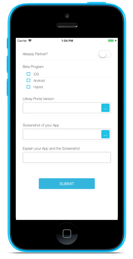 Figure 1: DDL Form Screenlet using the Default (default) Theme.