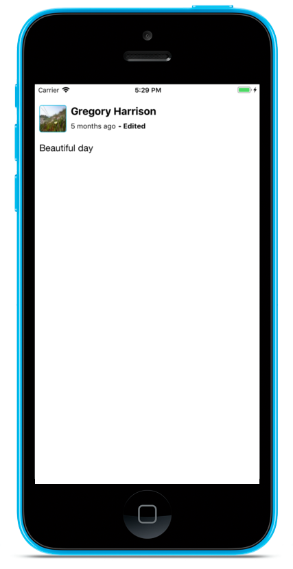 Figure 1: Comment Display Screenlet using the Default Theme.