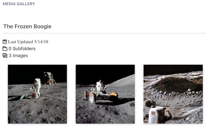 Figure 2: The Media Gallery renders large thumbnail images of media files.
