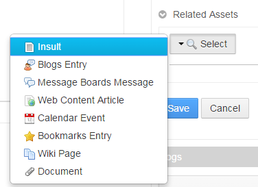 Figure 3: After deploying with your language key, your entity appears as desired in the Related Assets menu.