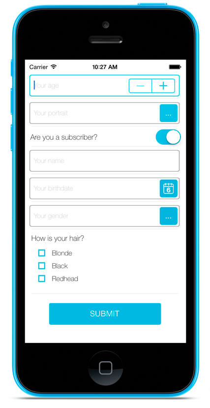 Figure 1: DDL Form Screenlet using the Default (default) Theme.