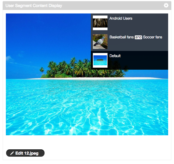 Figure 7.8: In the User Segment Content Display application, site administrators can preview the various assets that have been configured to be displayed to different user segments.