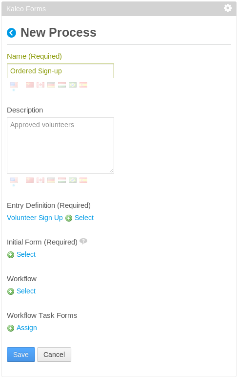 Figure 11.9: When using the Kaleo Forms portlet to create a new workflow process, you need to complete this form.