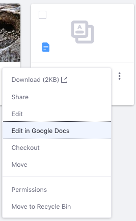 Figure 4: Select Edit in Google Docs from the files Actions menu.