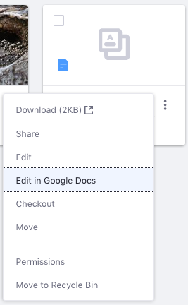Figure 2: You can also use Googles document editor to edit existing Documents and Media files.