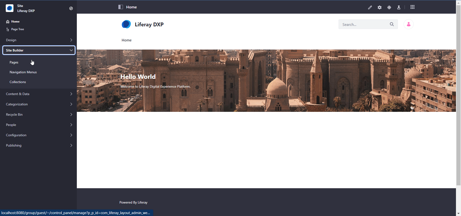 Public-Private_Pages_Configuration_-_Advanced_-_Robots.gif